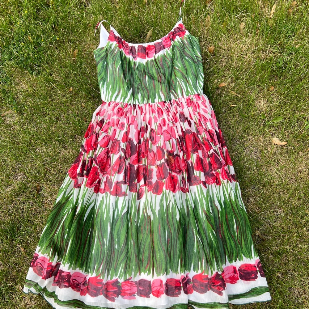 Anna Sui floral print sun dress  size 2